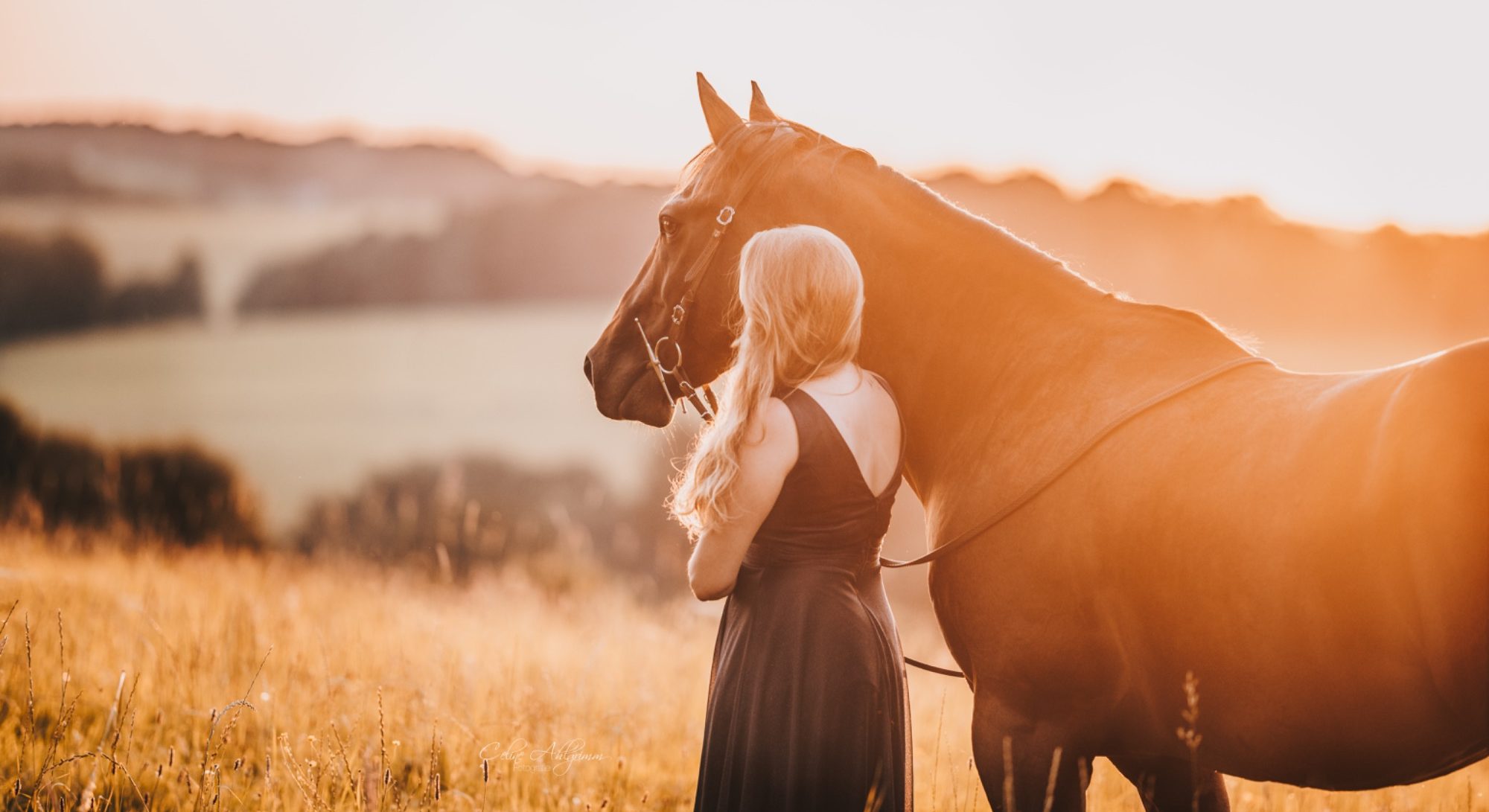 Mensch und Pferd im Sonnenuntergang