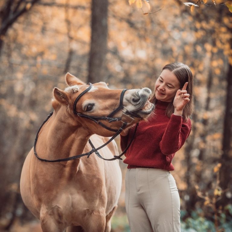 Pferd mit Mädchen auf einer Brücke